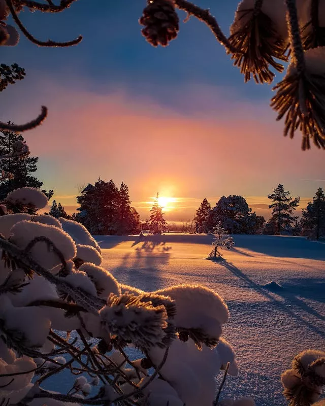 winter sunset